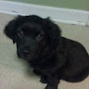 Meet your Posher, Jada